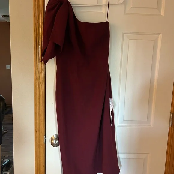dress the population burgundy dress Rent Dress The Population Burgundy Jordan Dress main image 1